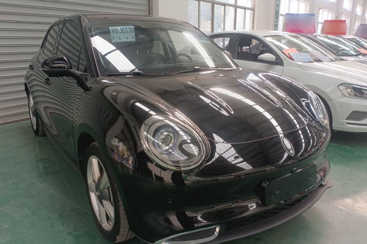 Used ORA Good Cat 2022 400km Standard Range Luxury Version Lithium Iron Phosphate