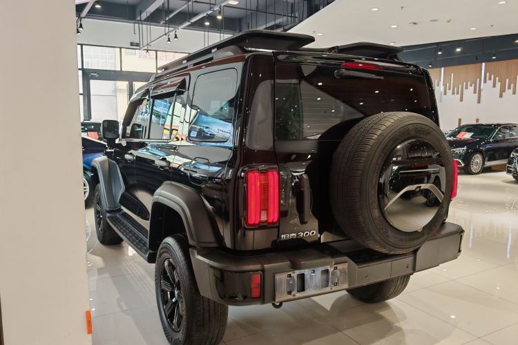 Used Tank 300 2024 2.0T Conqueror