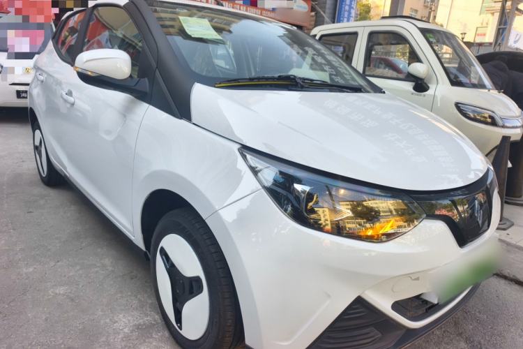 Used JMEV Xiao Qilin 