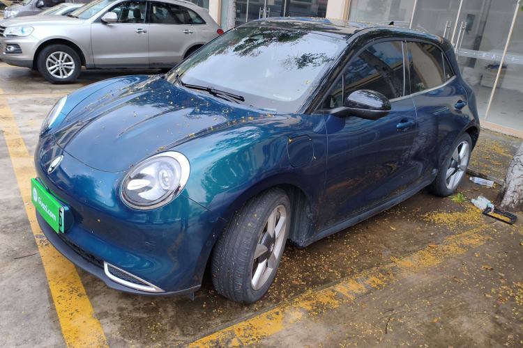 Used ORA Good Cat 2021 400km Standard Range Athena Edition Lithium-Ion Battery
