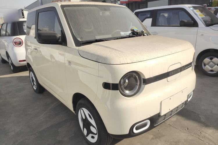 Used  Panda 2025 210 km – Yuanqi Bear
