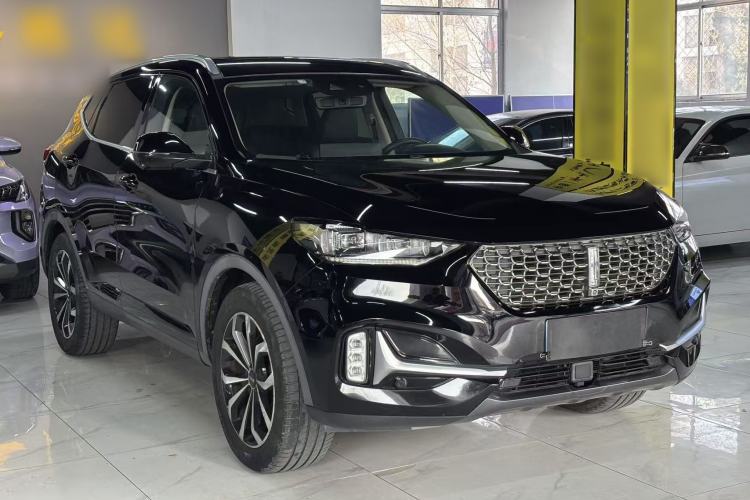 Used Wey VV6 2020 2.0T Two-Wheel Drive Collie SmartDrive+