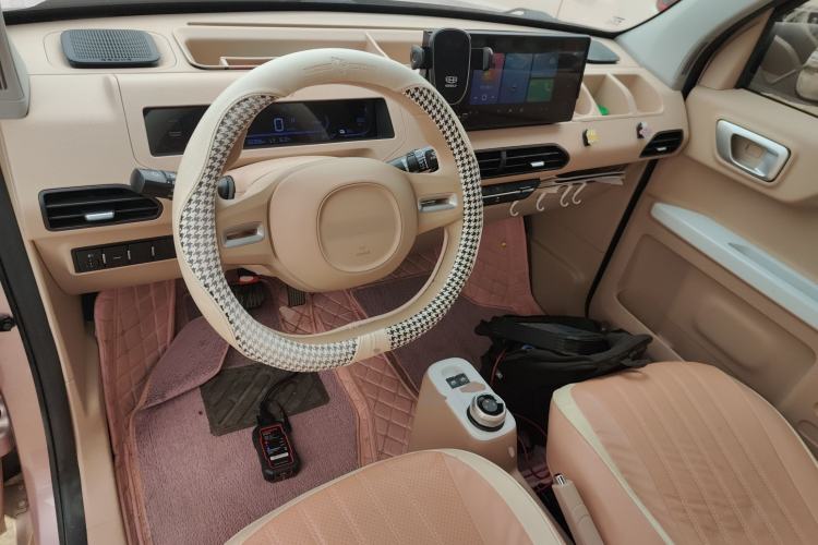 Used  Panda 2023 Panda Mini 200km Endurance Bear
