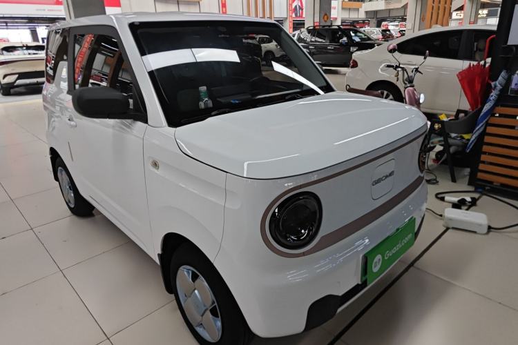 Used  Panda 2023 Panda Mini 200km Endurance Bear
