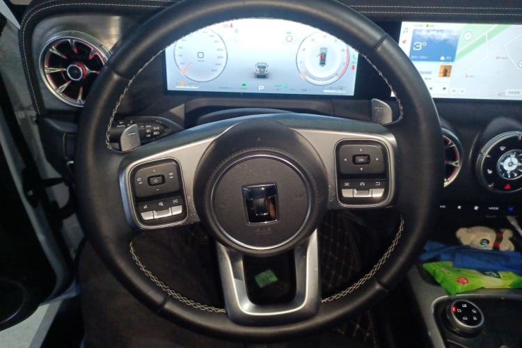 Used Tank 300 New Energy 2024 Hi4-T
