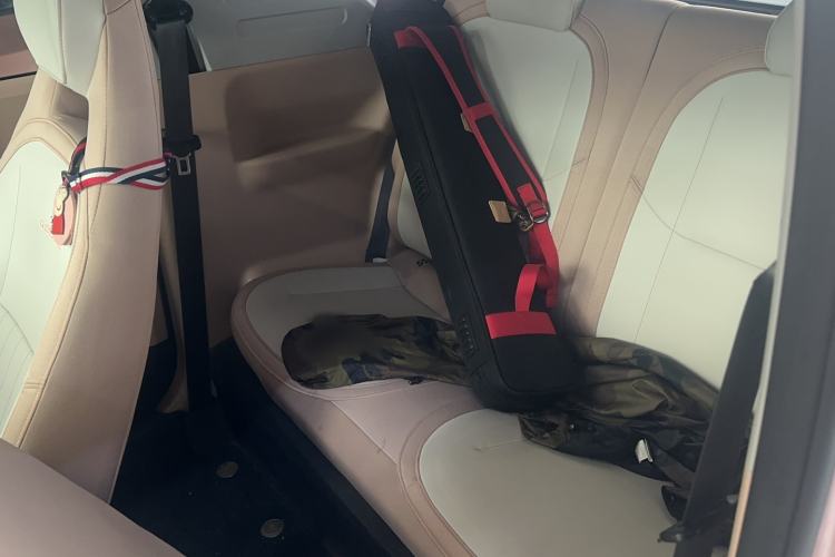 Used  Panda 2023 Panda Mini 200km Endurance Bear
