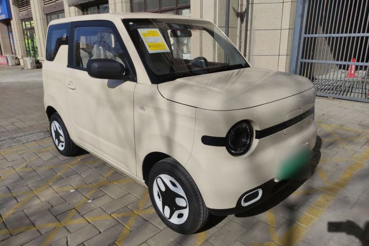 Used  Panda 2025 210 km – Yuanqi Bear