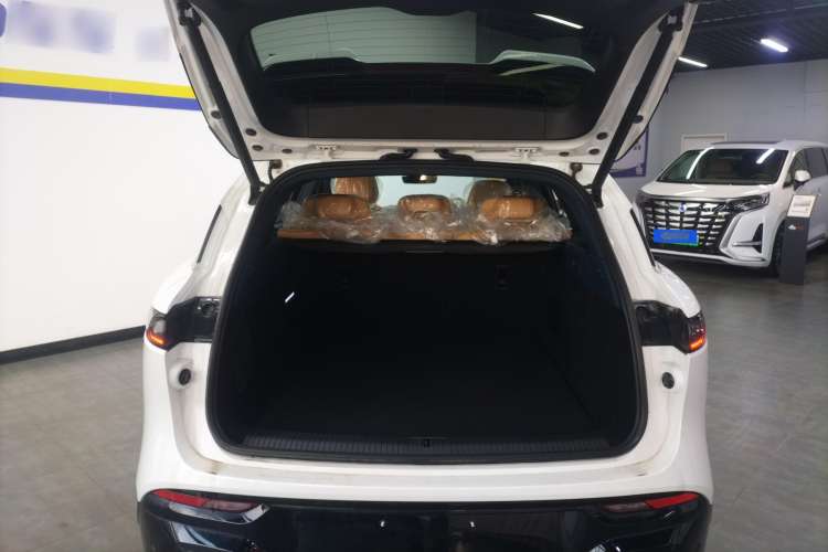 Used VOYAH FREE 2024 Ultra-Long Range Intelligent Driving Version
