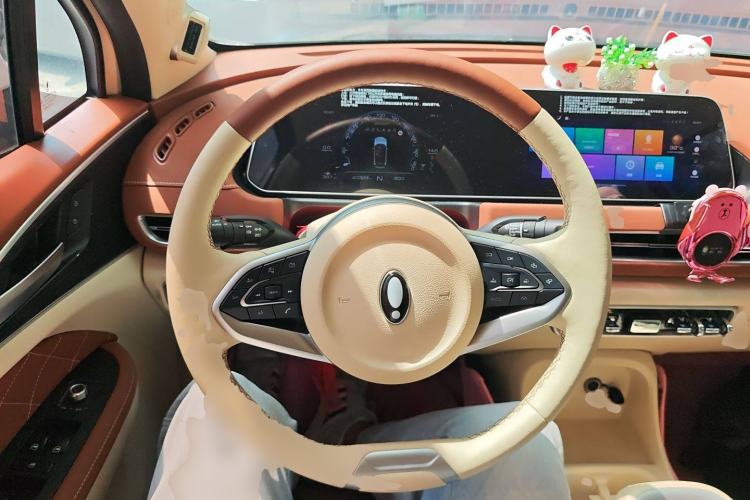 Used ORA Good Cat 2022 Morandi Edition 400km Standard Range Premium Version Lithium-Ion Battery
