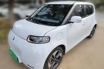 Used ORA White Cat 2020 305 km Luxury Version