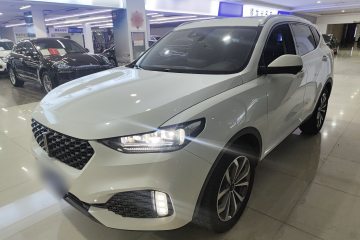 Used Wey VV6 2020 2.0T Two-Wheel Drive Smart Protection+