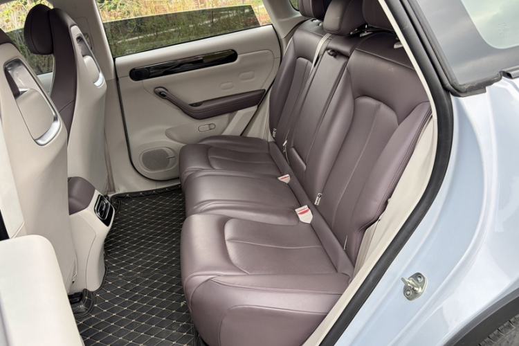 Used Leapmotor C11 2023 Pure Electric 500 Comfort Edition
