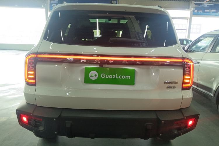 Used Haval DARGO 2024 2.0T DCT Chinese Rural Dog Edition
