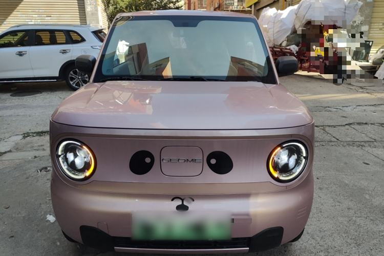 Used  Panda 2024 Panda Mini 200km Endurance Bear
