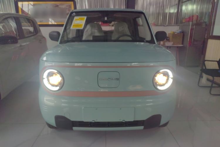 Used  Panda 2024 Panda Mini 200km Endurance Bear