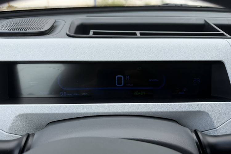 Used  Panda 2024 Panda Mini 200km Endurance Bear
