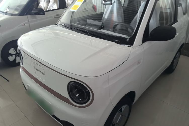 Used  Panda 2024 Panda Mini 200km Endurance Bear
