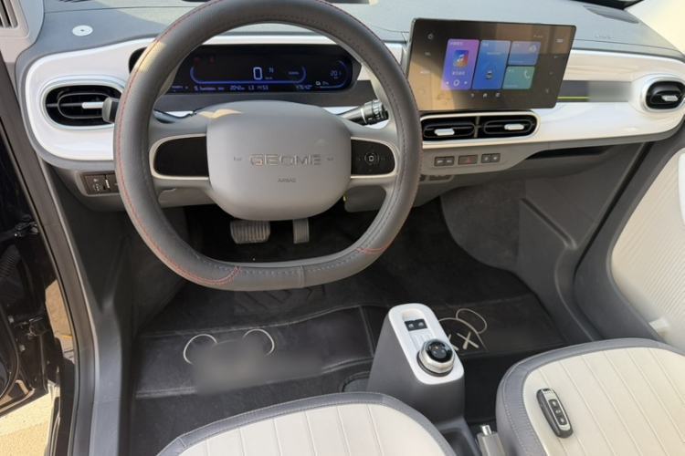 Used  Panda 2025 210km Panda Kart