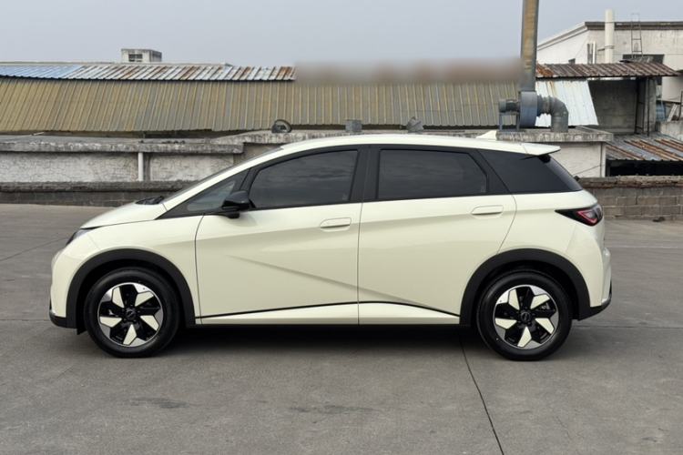 Used BYD Dolphin 2025 420km Free Edition