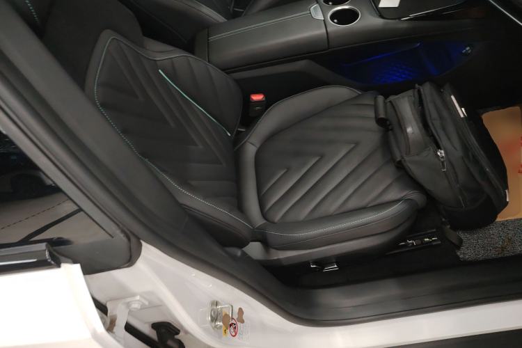 Used  SL03 2024 530 Plus Pure Electric Version
