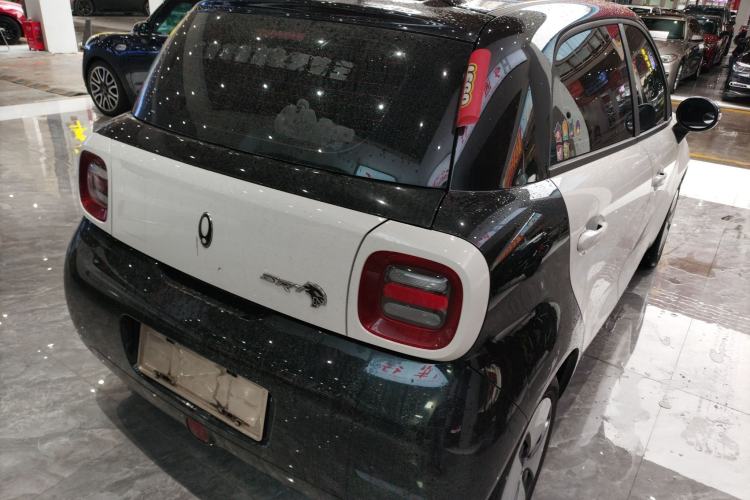 Used ORA Black Cat 2022 Updated Version 301 km Cute Pet Edition Lithium Iron Phosphate
