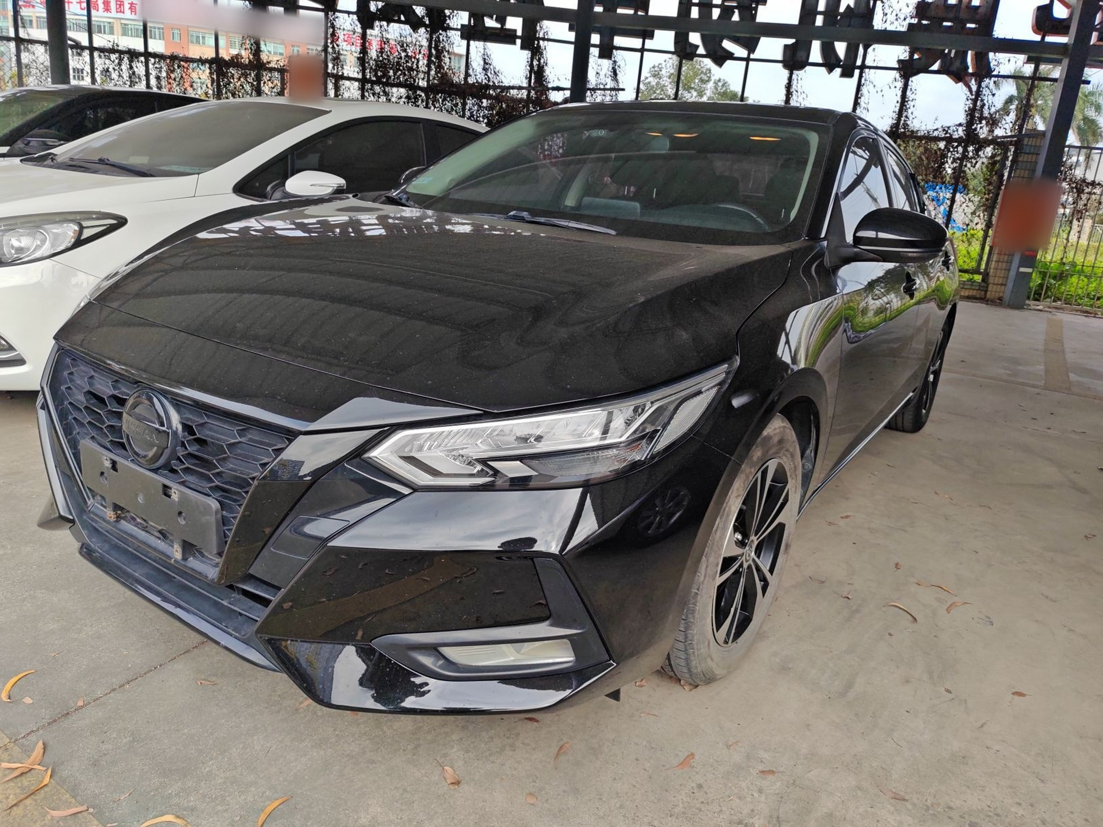 تحت مقدمة السيارة