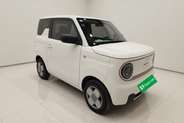 Used  Panda 2023 Panda Mini 200km Endurance Bear