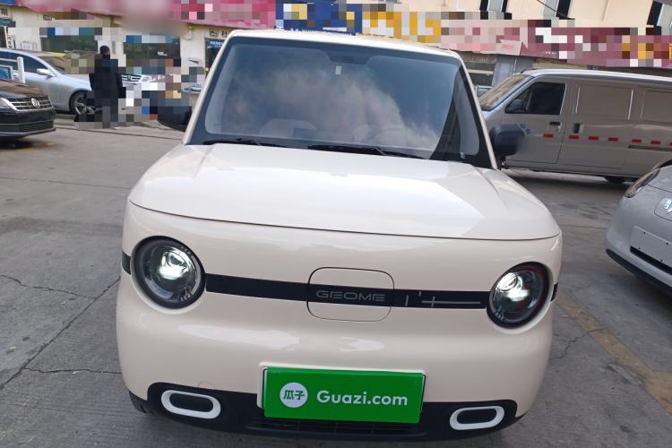 Used  Panda 2025 210 km – Yuanqi Bear
