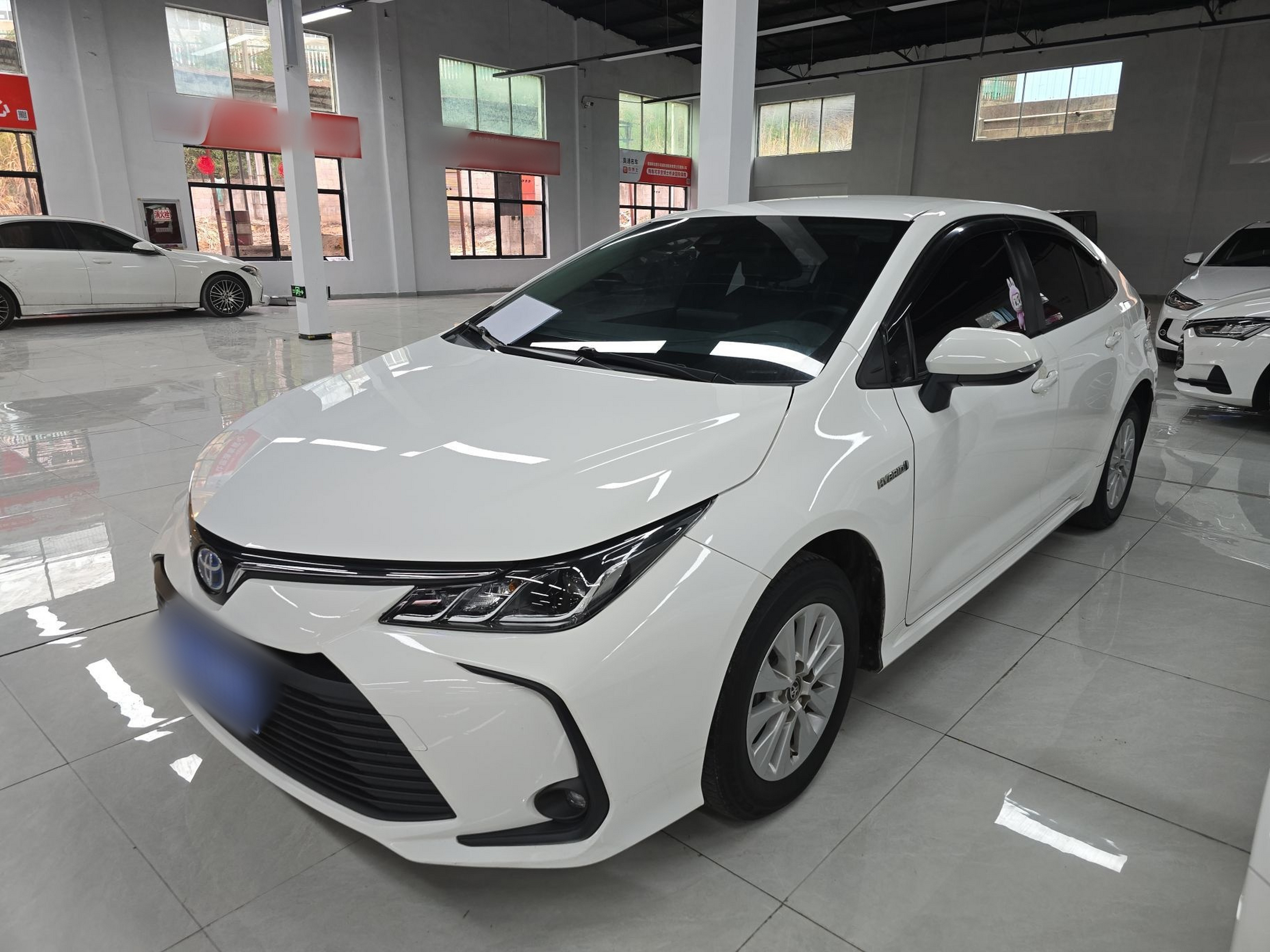 تحت مقدمة السيارة