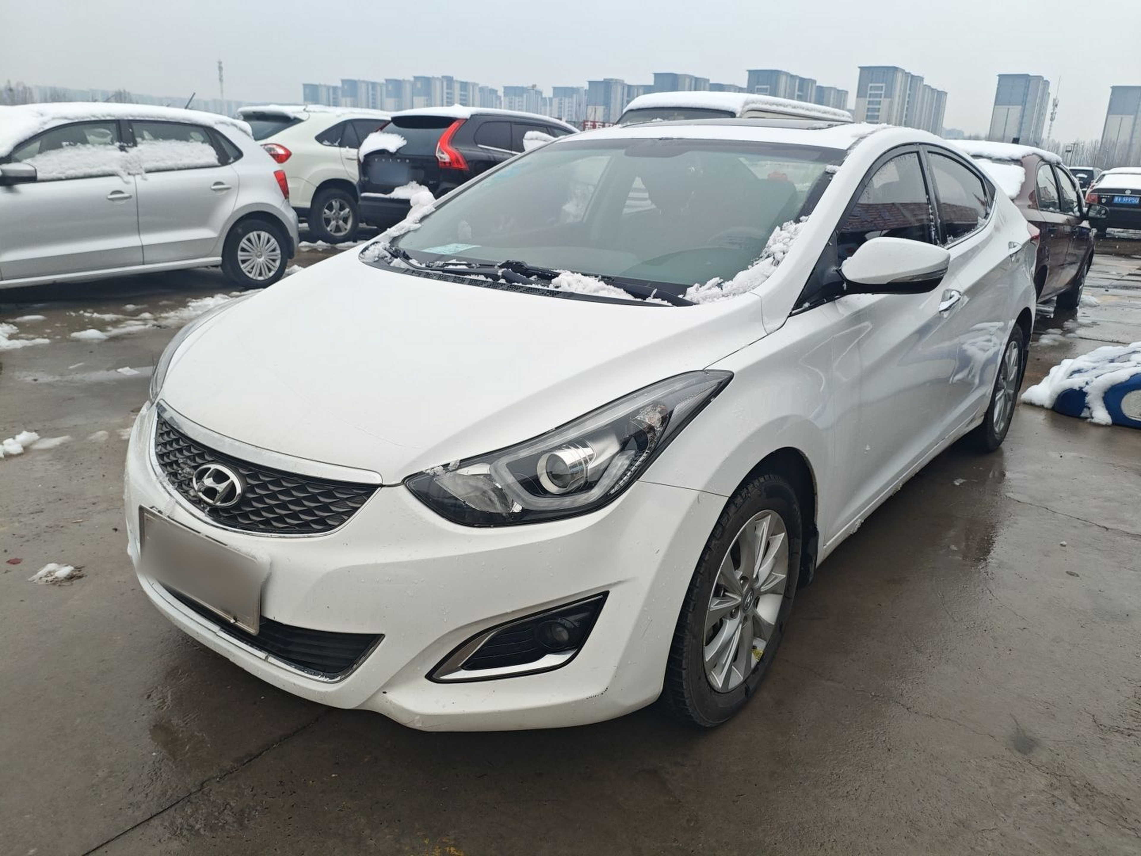 تحت مقدمة السيارة