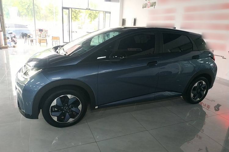 Used BYD Dolphin 2024 Honor Edition 420km Freedom Version