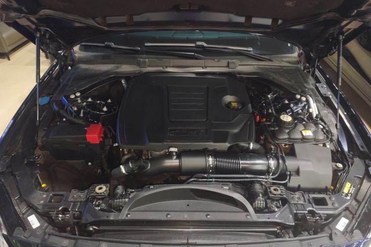 Used Jaguar XFL 2022 XFL 2.0T P250 Two-Wheel-Drive Elite Sport Edition
