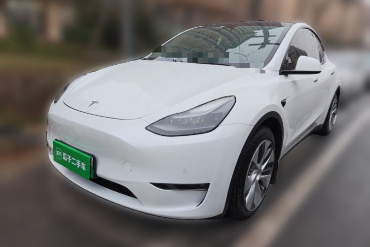 Used Tesla Model Y 2021 Standard Range Rear-Wheel Drive Version