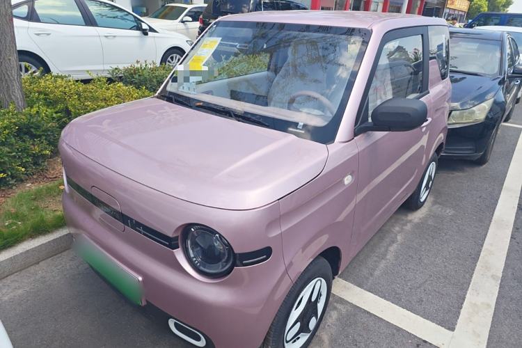 Used  Panda 2024 Panda Mini 200km Endurance Bear
