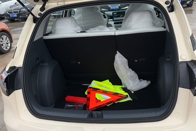 Used  Geome 2025 310km Youth Edition
