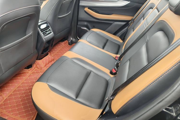 Used  Zhuifeng 2020 Chasing the Waves Edition 1.5T CVT Xingrui Version
