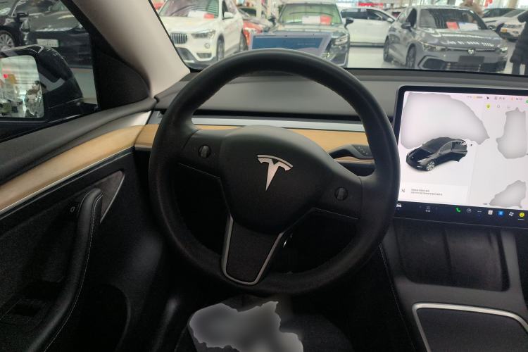 Used Tesla Model Y 2021 Standard Range Rear-Wheel Drive Version