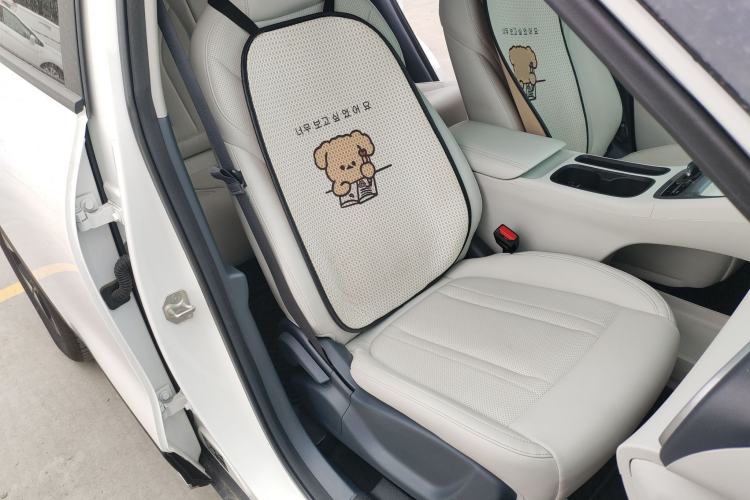 Used  Geome 2025 UP 410km Exploration Edition
