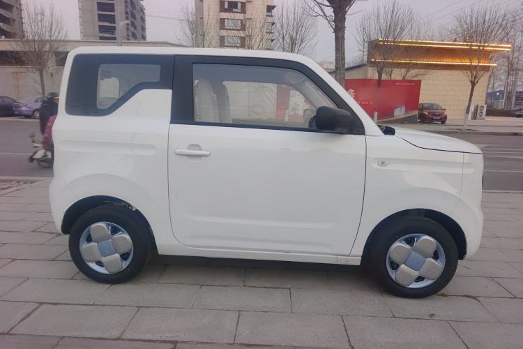 Used  Panda 2024 Panda Mini 200km Endurance Bear