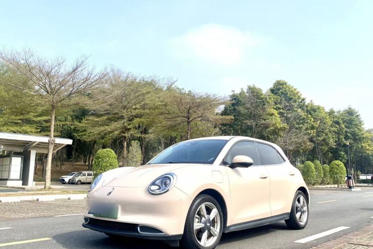 Used ORA Good Cat 2023 401 km Standard Range Comfort Version Lithium Iron Phosphate