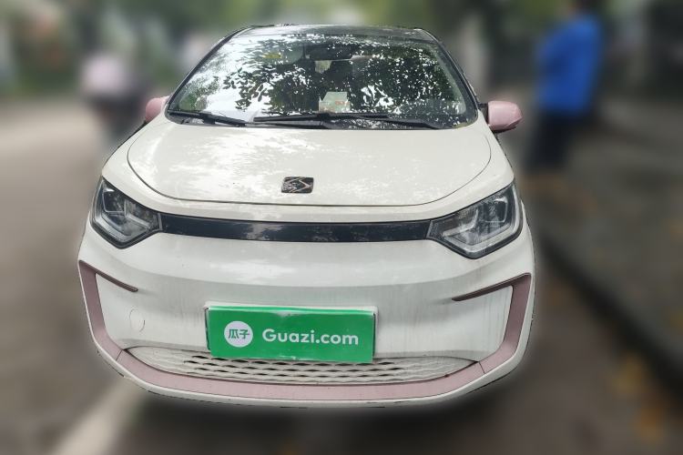 Used SOL E10X 2022 Flower Fairy Design Four-Leaf Clover
