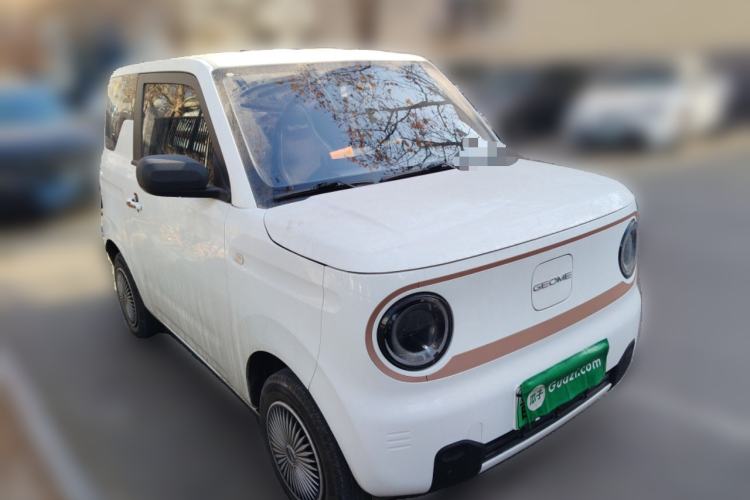 Used  Panda 2024 Panda Mini 200km Endurance Bear
