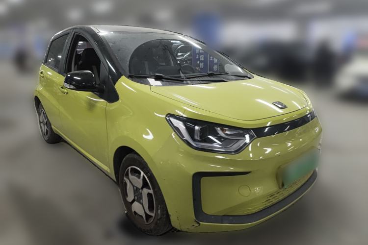 Used SOL E10X 2022 Flower Fairy Style Baby's Breath
