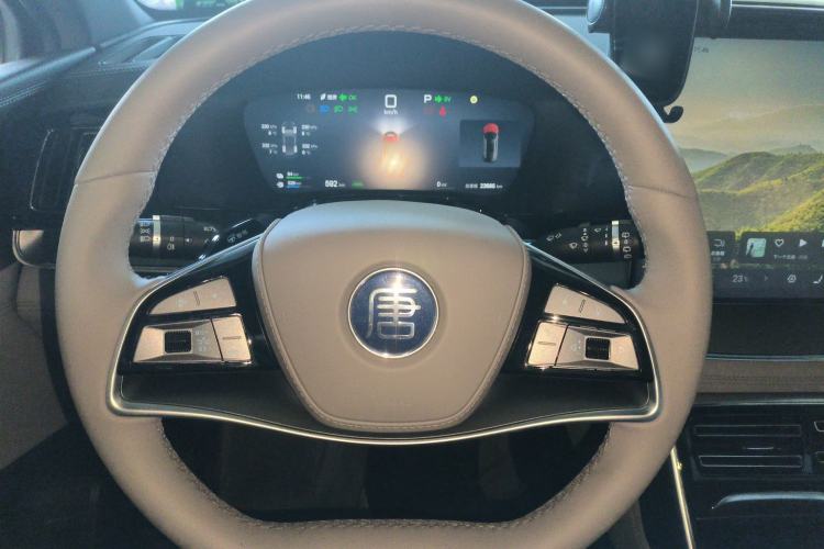 Used BYD Tang New Energy 2025 DM-i 115KM Prestige Model