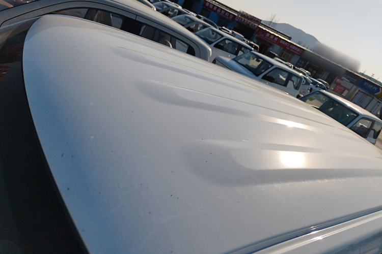 Used  Panda 2024 Panda Mini 200km Endurance Bear
