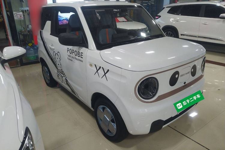 Used  Panda 2023 Panda Mini 200km Endurance Bear
