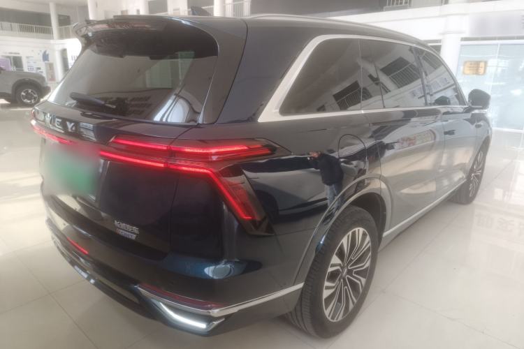 Used Wey Lanshan 2023 Four-Wheel Drive Ultra-Long Range Version