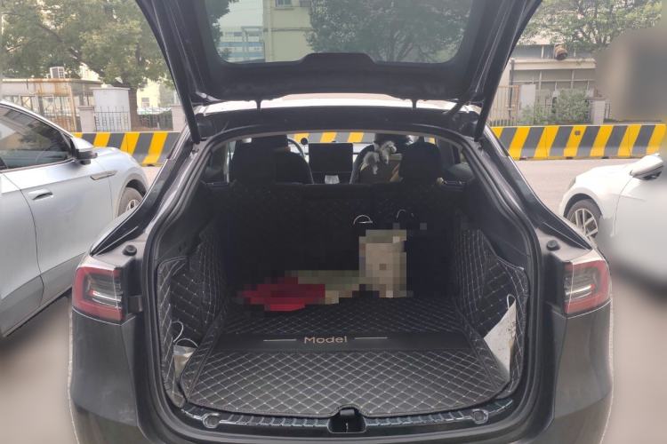 Used Tesla Model Y 2021 Standard Range Rear-Wheel Drive Version