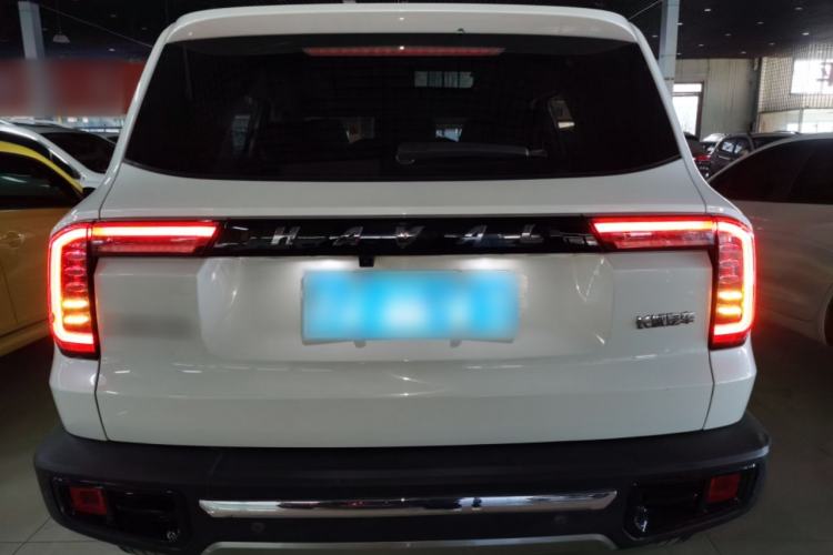 Used Haval DARGO 2021 2.0T DCT 4x4 Chinese Rural Dog Edition