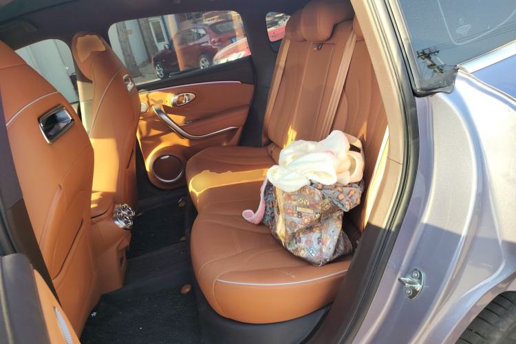 Used ORA Lightning Cat 2022 555 km Luxury Edition